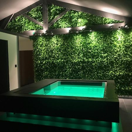 Maison Spa Piscine D'Alessia LʼIsle-sur-la-Sorgue Exterior foto